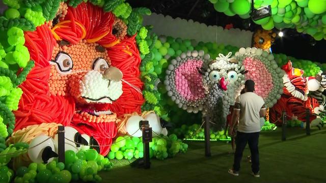 A giant lion, elephant, tiger and zebra made out of balloons. 