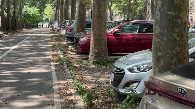 Dozens of vehicles parked on a greenway next to a bike lane in Queens. 