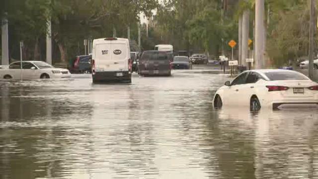 ted-hollywood-flooding-6-13-2024.jpg 